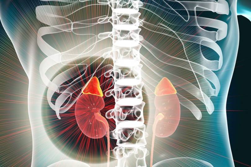 Best Adrenal Cancer Specialist in Baner Pune